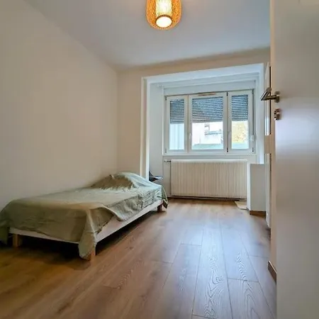 Apartament L'essentiel De Par Citycosy-strasbourg